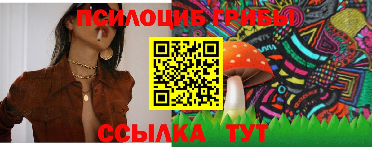 Псилоцибиновые грибы Cubensis Сальск