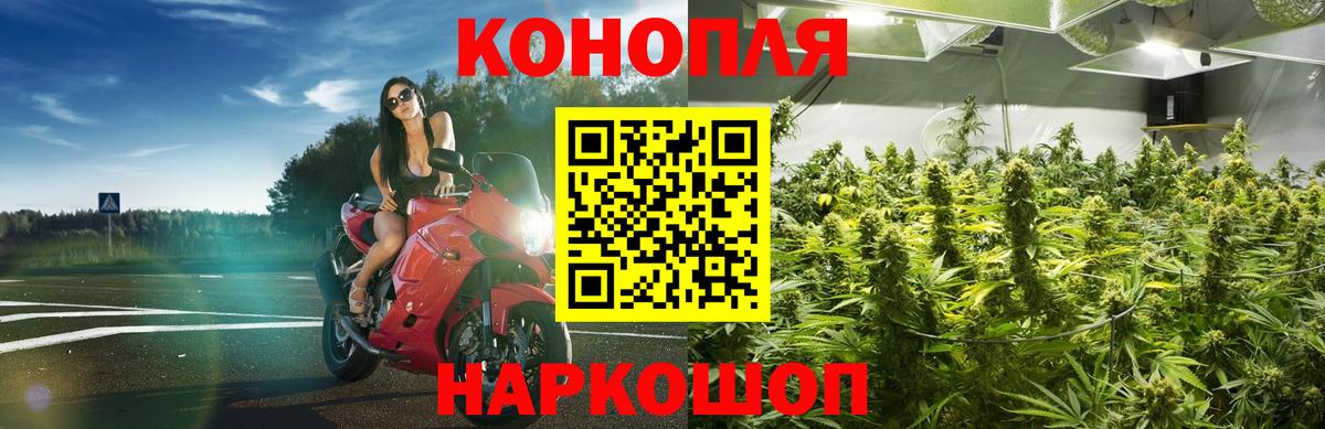 Канабис марихуана  МАРИХУАНА VHQ  МАРИХУАНА ГИДРОПОН  МАРИХУАНА ГИДРОПОН  Сальск  Вход с VPN 